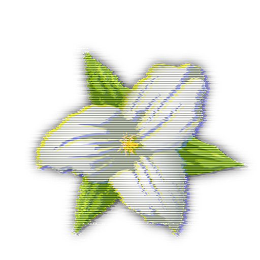 Trillium Logo